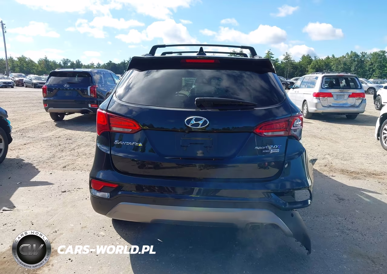 2017 Hyundai Santa Fe Sport 2.0T Ultimate VIN:5XYZWDLA0HG484890 - 16