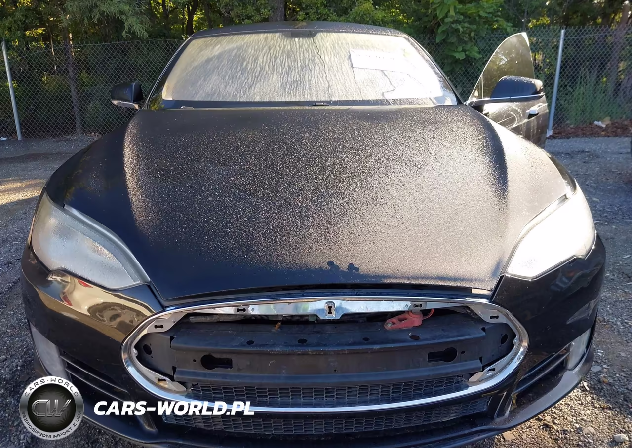 2013 Tesla Model S VIN:5YJSA1DN9DFP15402 - 10