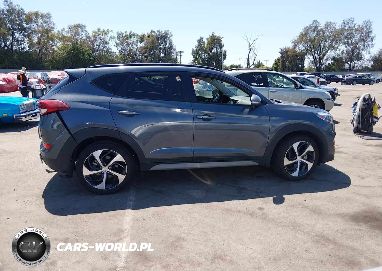 2017 Hyundai Tucson Value VIN:KM8J33A29HU562847 - 13