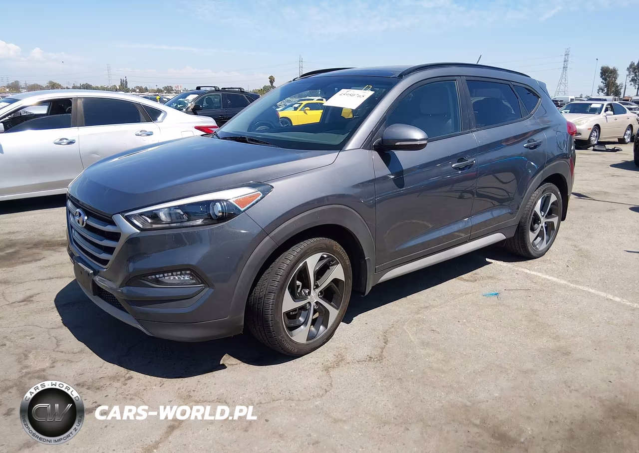 2017 Hyundai Tucson Value VIN:KM8J33A29HU562847 - 2