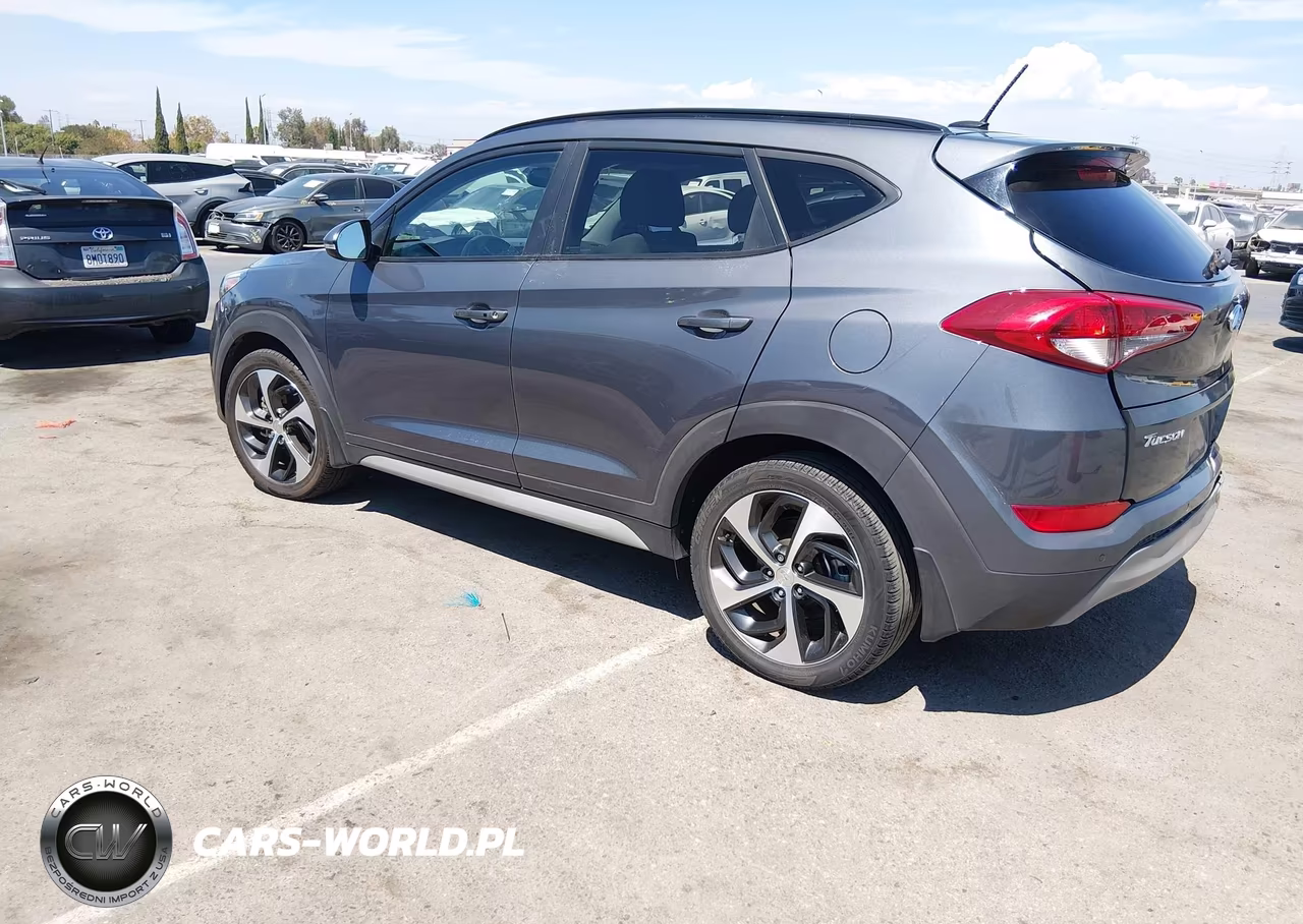 2017 Hyundai Tucson Value VIN:KM8J33A29HU562847 - 3