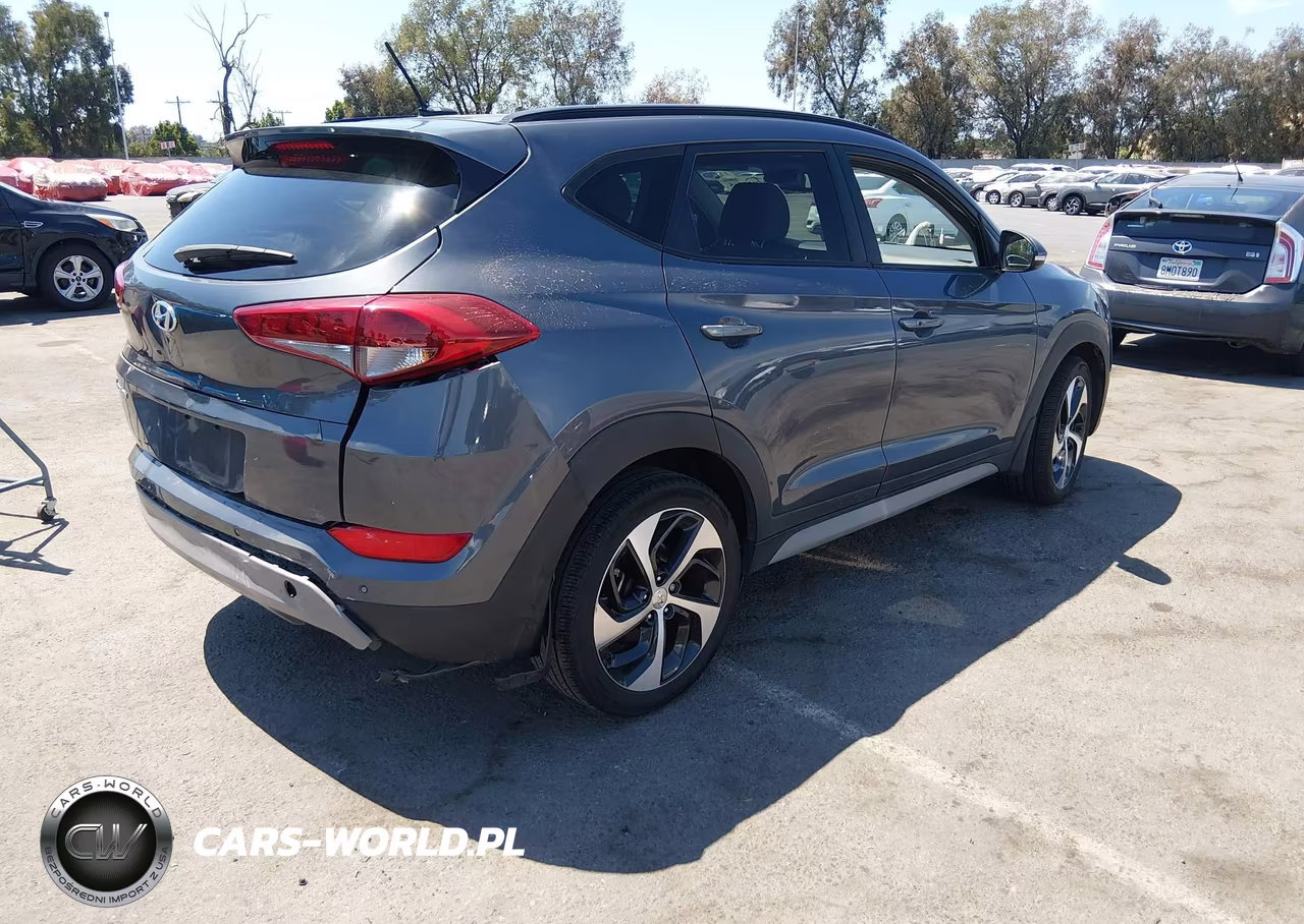 2017 Hyundai Tucson Value VIN:KM8J33A29HU562847 - 4