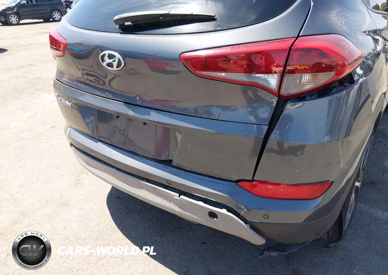 2017 Hyundai Tucson Value VIN:KM8J33A29HU562847 - 6
