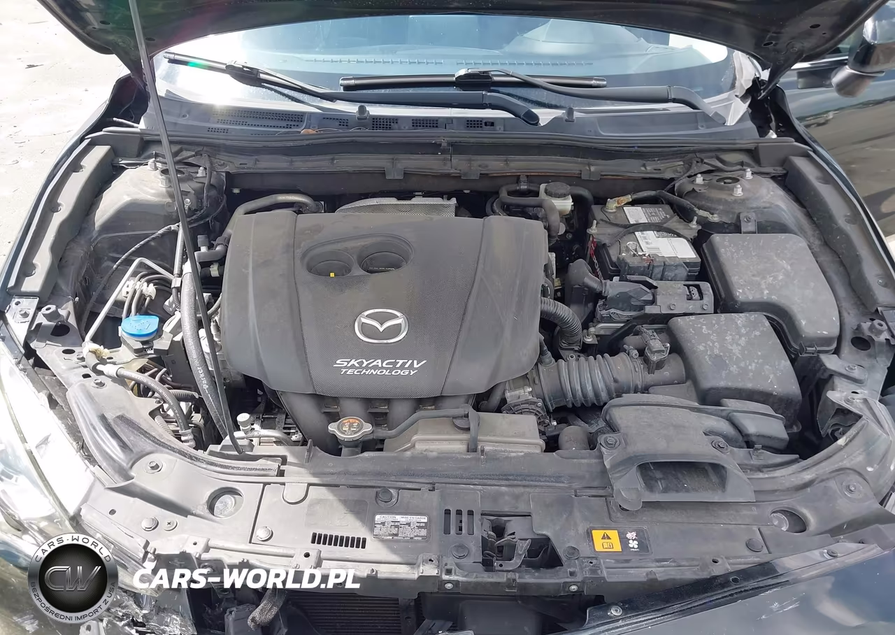 2016 Mazda Mazda3 I Sport VIN:JM1BM1U77G1311892 - 10