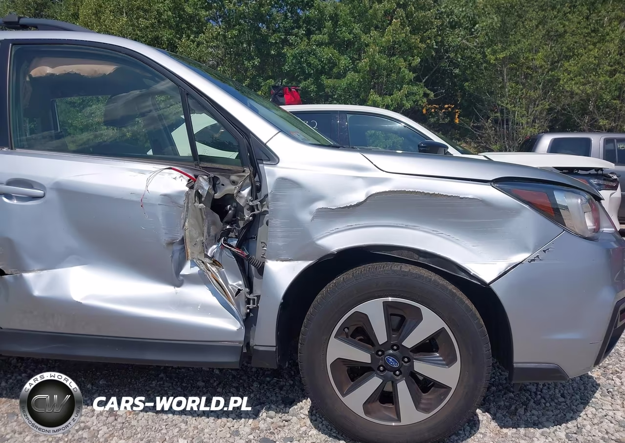 2017 Subaru Forester 2.5I VIN:JF2SJABC4HH422452 - 17