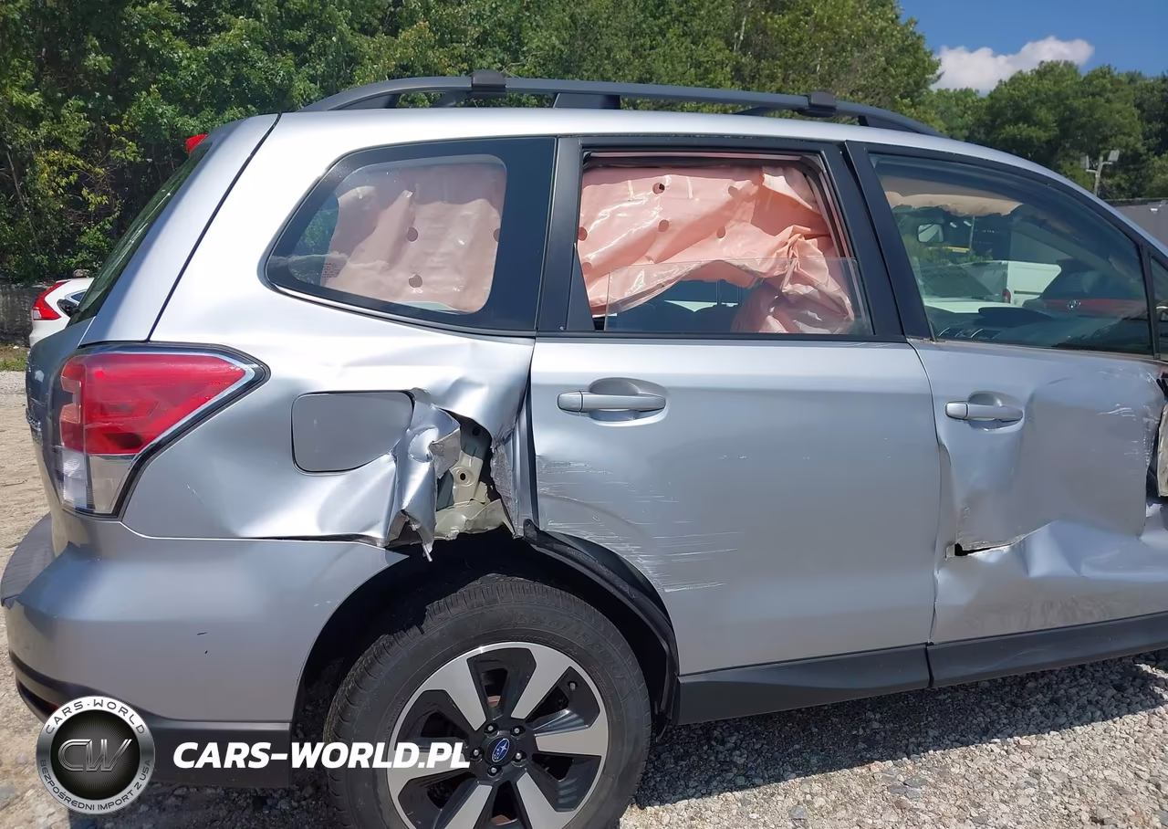 2017 Subaru Forester 2.5I VIN:JF2SJABC4HH422452 - 19