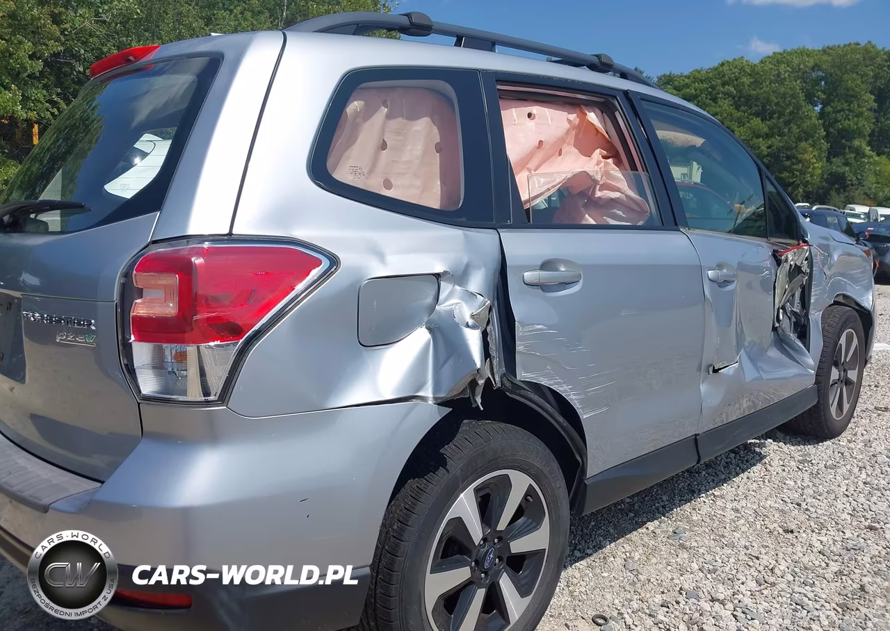 2017 Subaru Forester 2.5I VIN:JF2SJABC4HH422452 - 20
