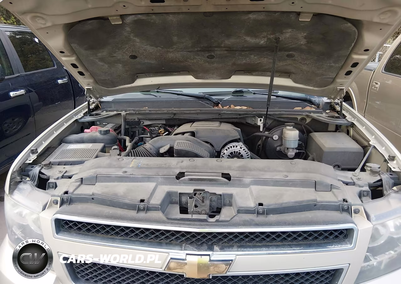 2009 Chevrolet Tahoe Lt2 VIN:1GNFK230X9R101610 - 10