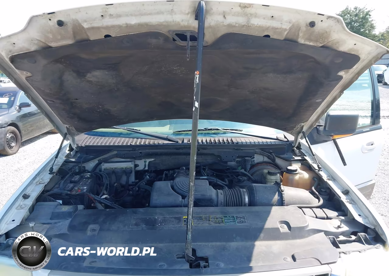 2004 Ford Expedition Eddie Bauer VIN:1FMPU18L54LB80745 - 10