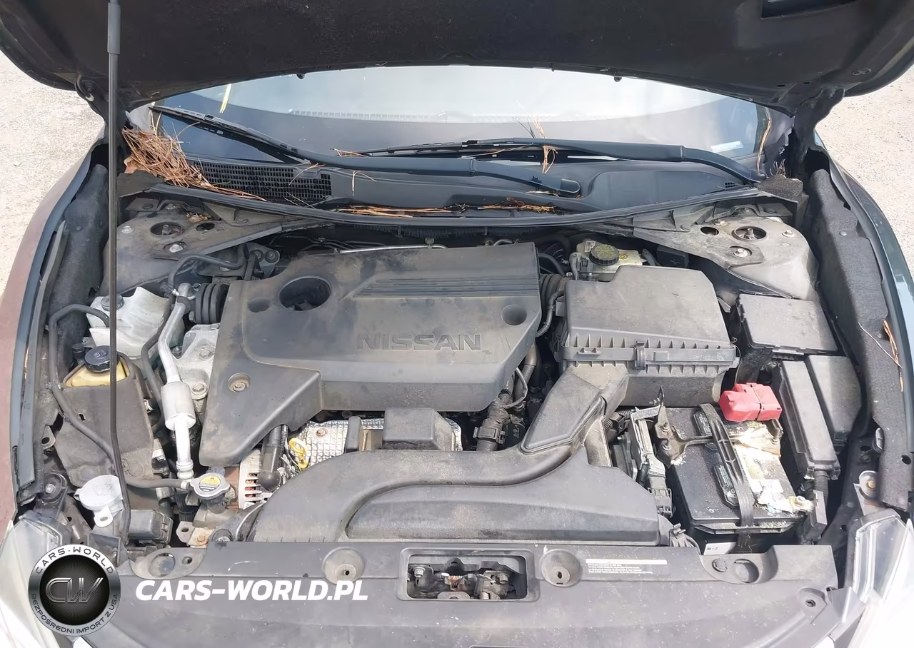 2016 Nissan Altima 2.5 Sv VIN:1N4AL3AP6GC269658 - 10