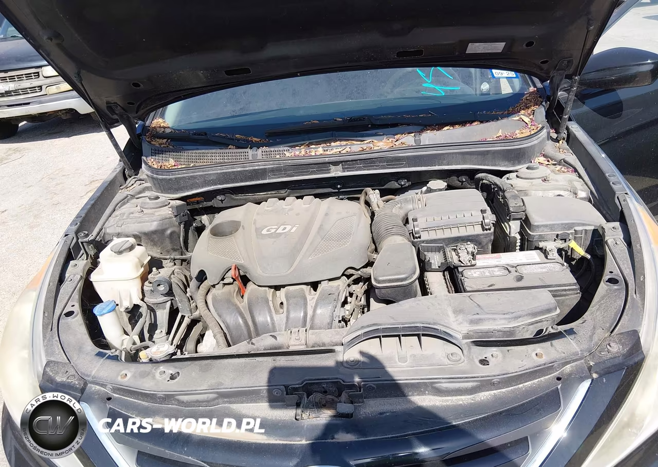 2014 Hyundai Sonata Gls VIN:5NPEB4AC8EH821230 - 10