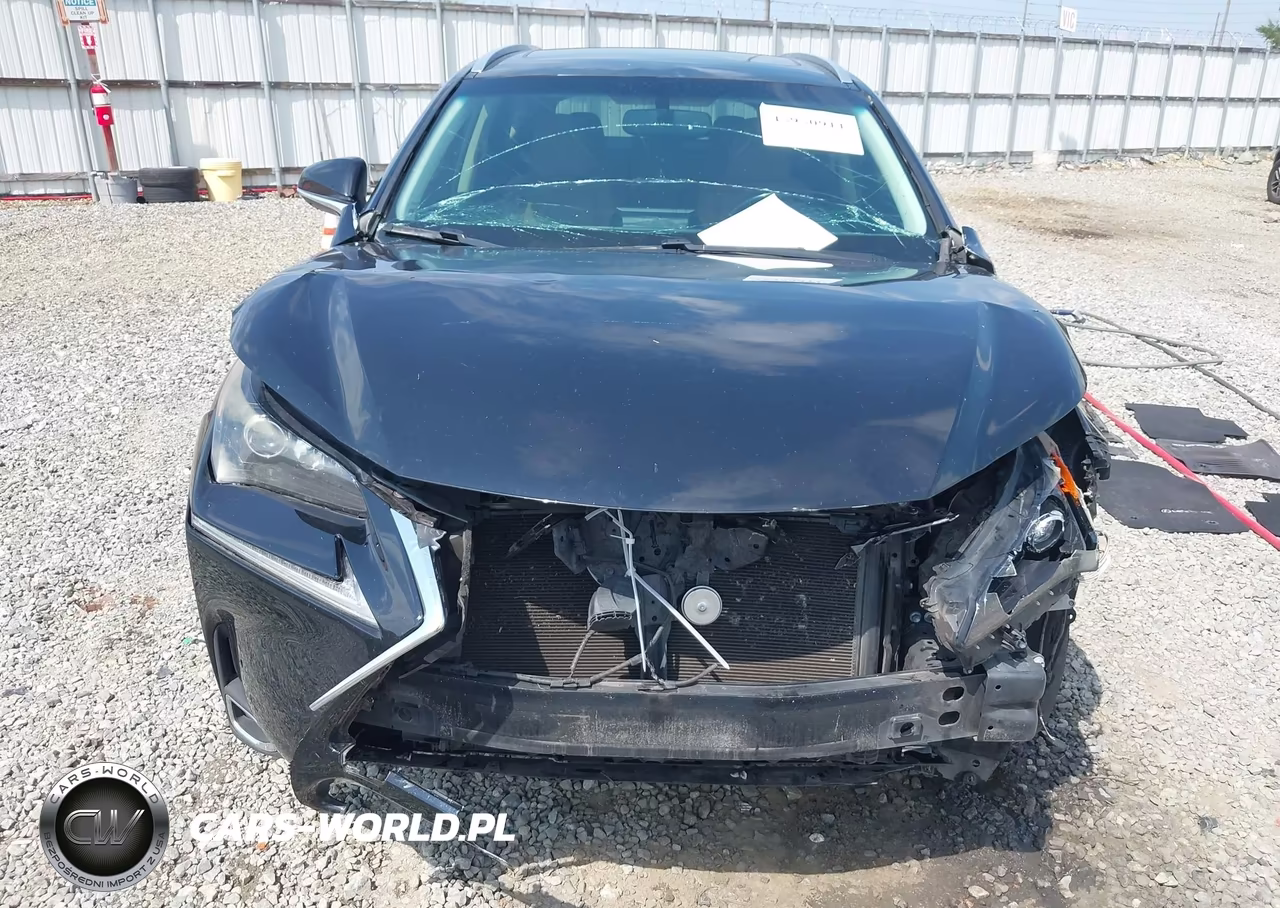 2015 Lexus Nx 200T VIN:JTJBARBZ5F2012516 - 12