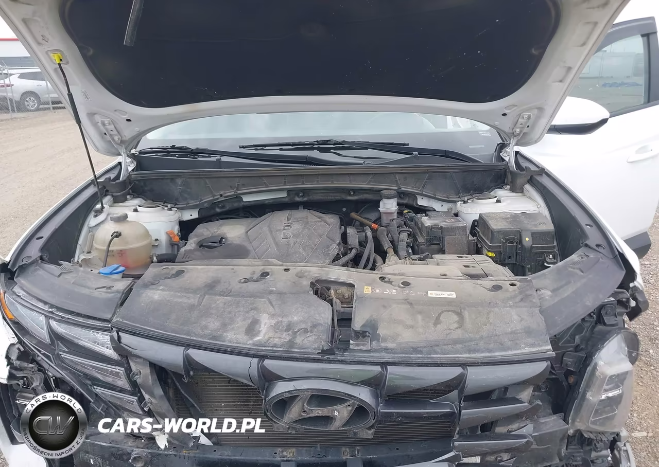 2024 Hyundai Tucson Sel VIN:KM8JB3DE8RU302742 - 10
