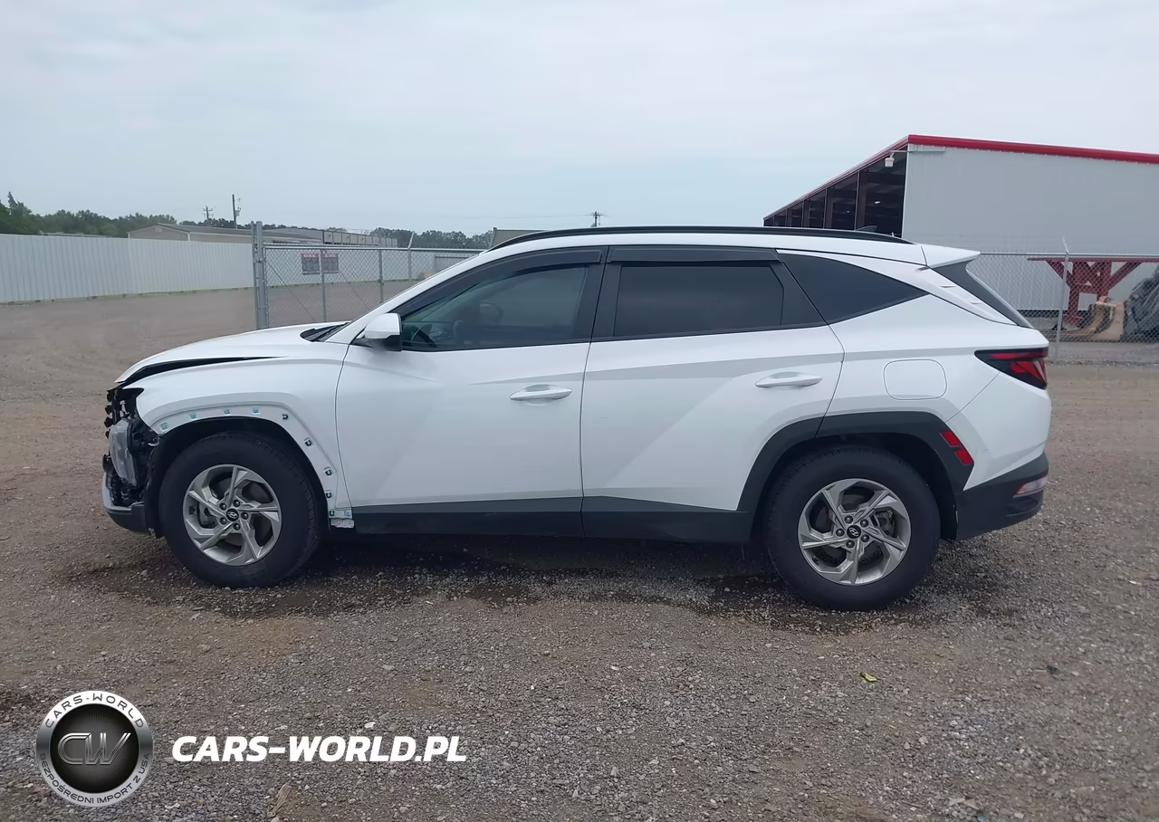 2024 Hyundai Tucson Sel VIN:KM8JB3DE8RU302742 - 15