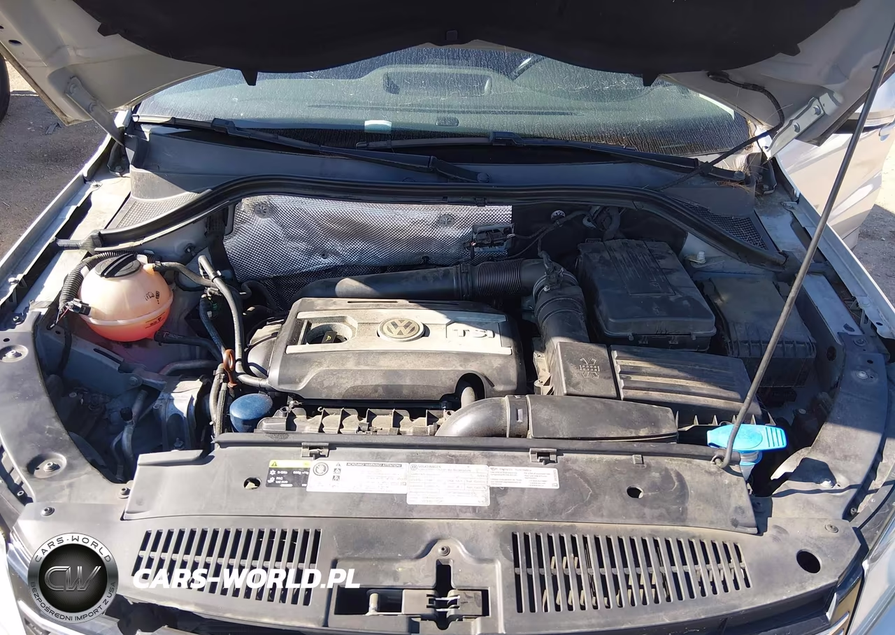 2013 Volkswagen Tiguan S VIN:WVGAV3AX7DW562740 - 10