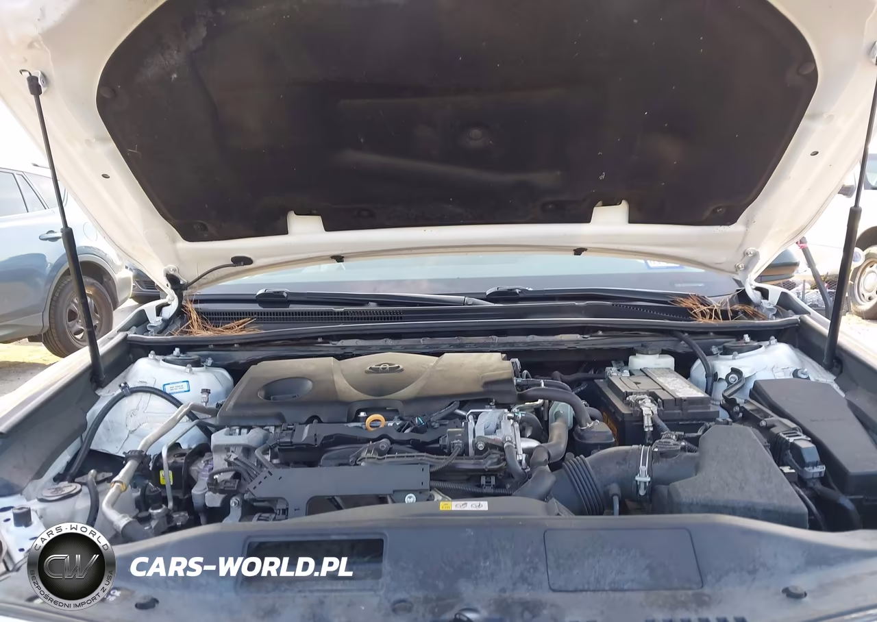 2019 Toyota Camry Se VIN:4T1B11HK5KU195554 - 10