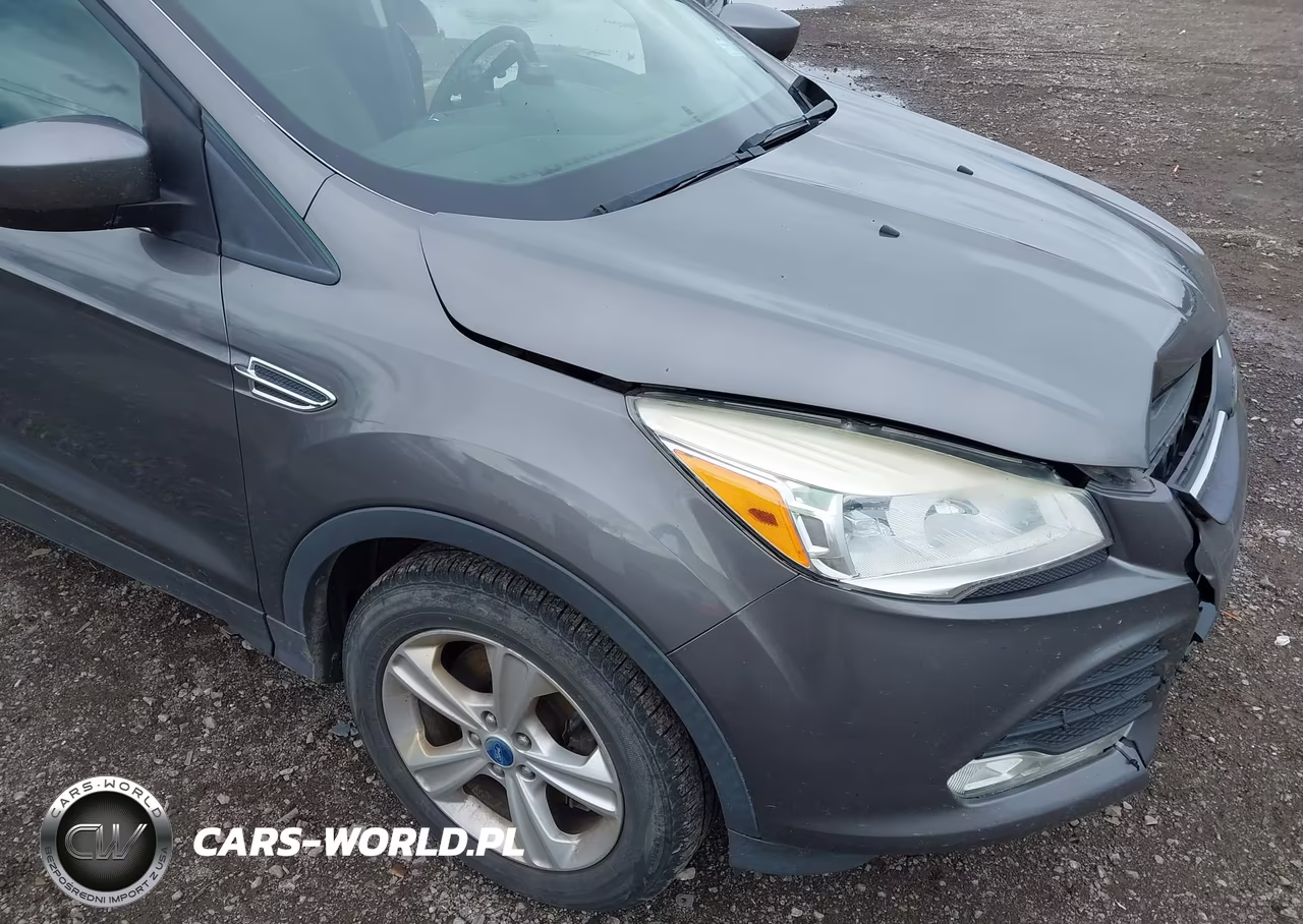 2013 Ford Escape Se VIN:1FMCU9GX8DUB29574 - 12