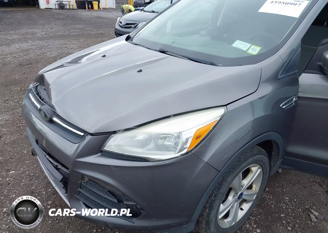 2013 Ford Escape Se VIN:1FMCU9GX8DUB29574 - 13