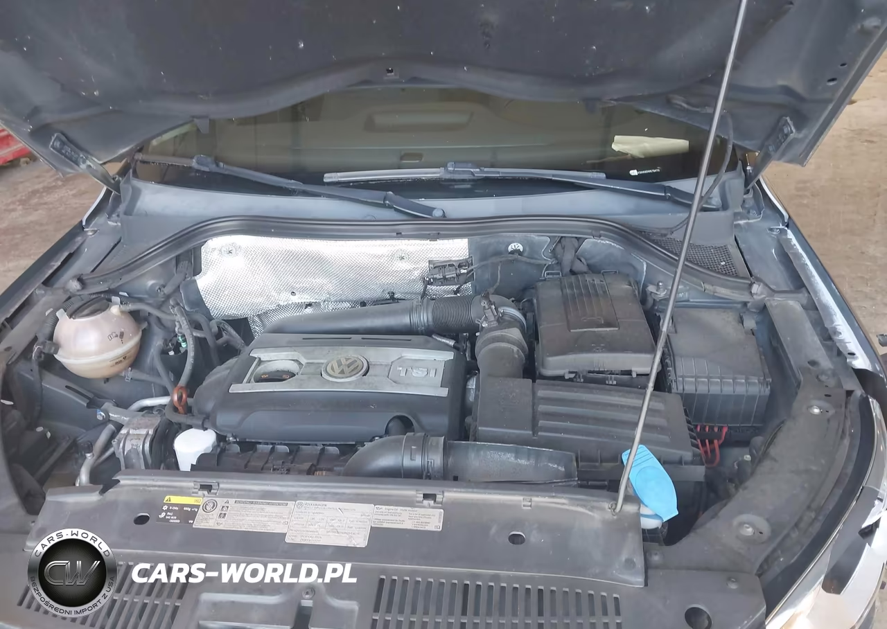 2013 Volkswagen Tiguan S VIN:WVGCV3AX6DW578470 - 10