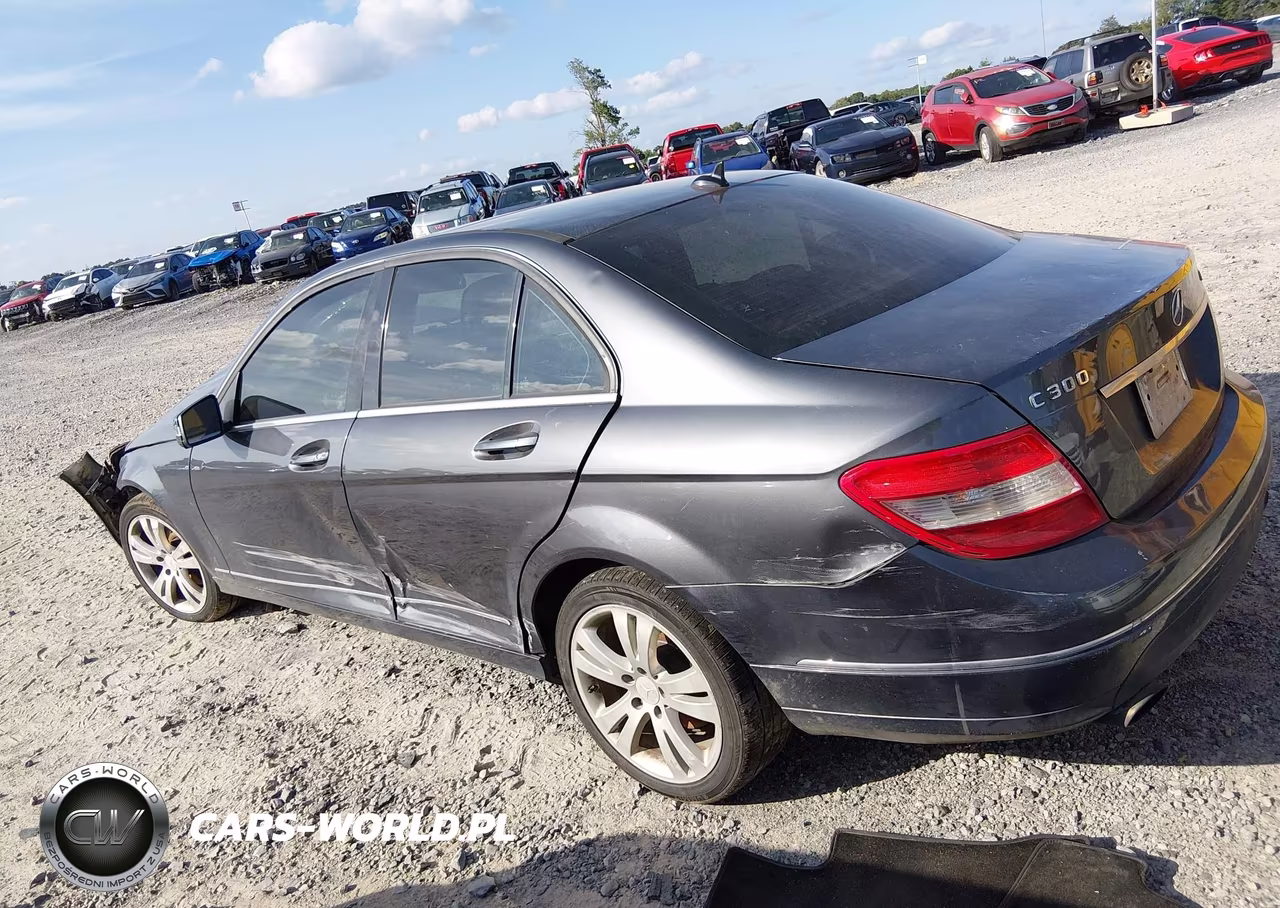 2010 Mercedes-Benz C 300 Luxury 4Matic-Sport 4Matic VIN:WDDGF8BB4AF478033 - 14