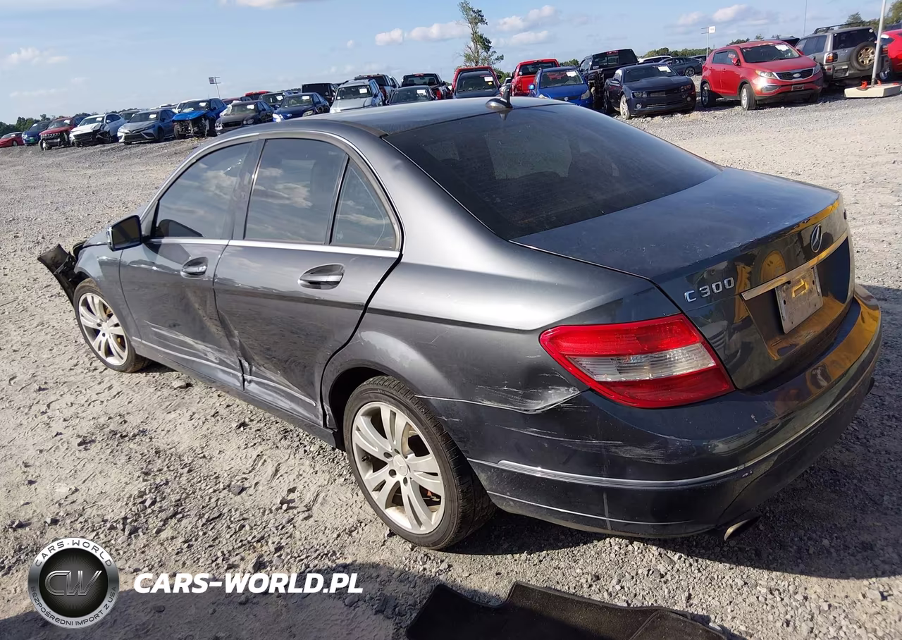 2010 Mercedes-Benz C 300 Luxury 4Matic-Sport 4Matic VIN:WDDGF8BB4AF478033 - 3