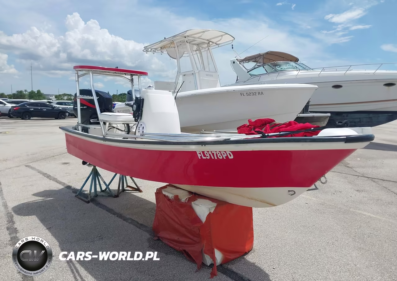 2011 Flz Other