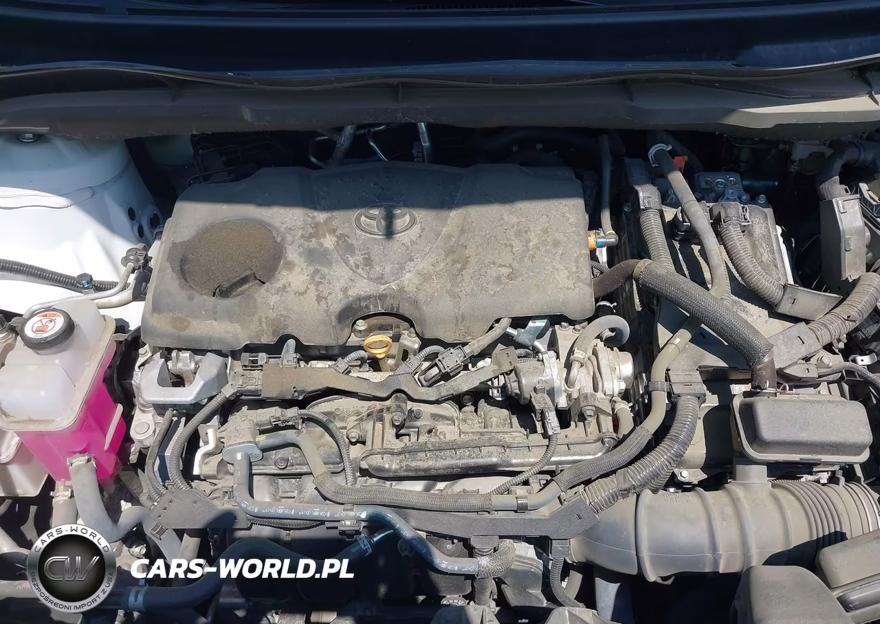 2024 Toyota Sienna Le VIN:5TDKRKEC6RS207080 - 10