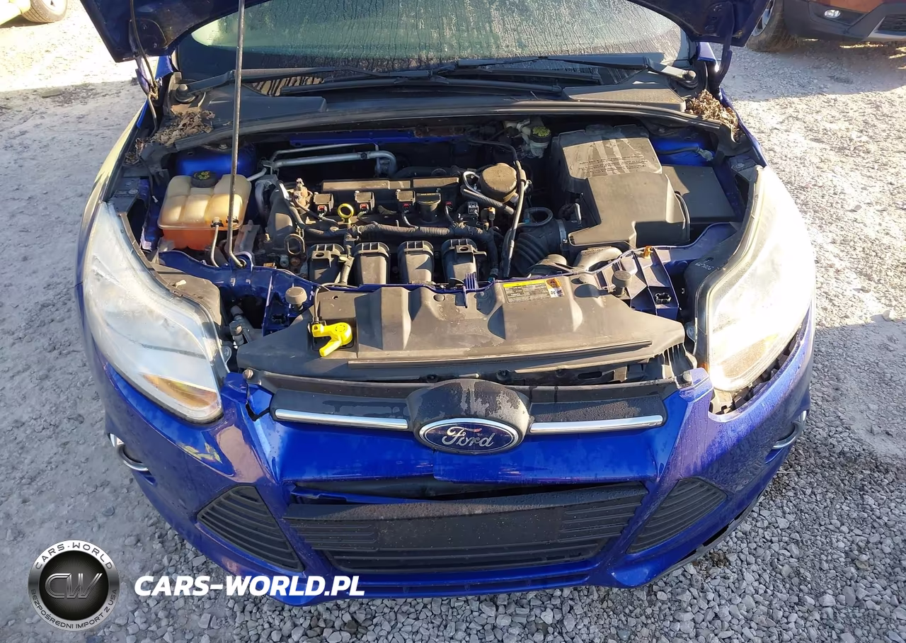 2014 Ford Focus Se VIN:1FADP3F28EL263193 - 10