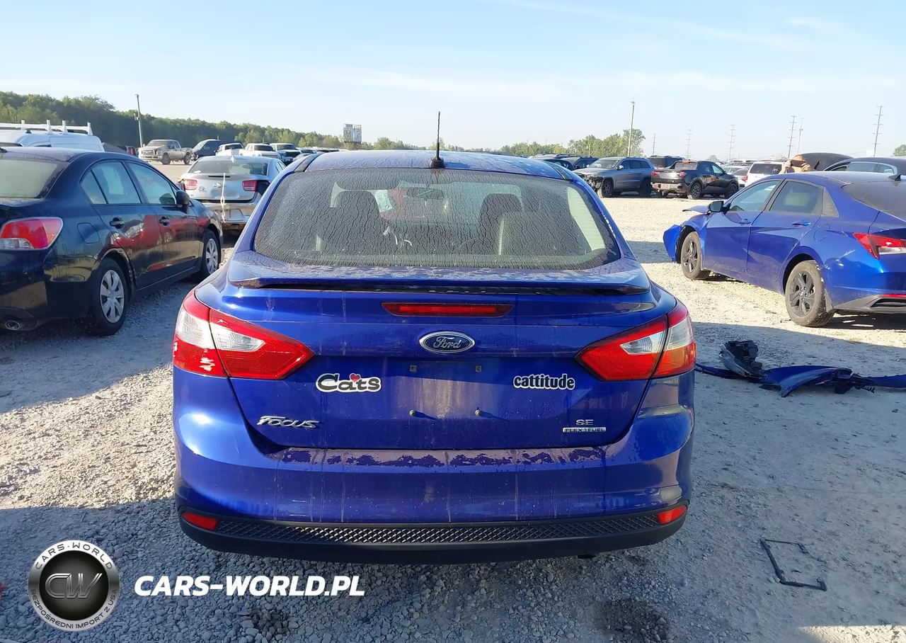 2014 Ford Focus Se VIN:1FADP3F28EL263193 - 16