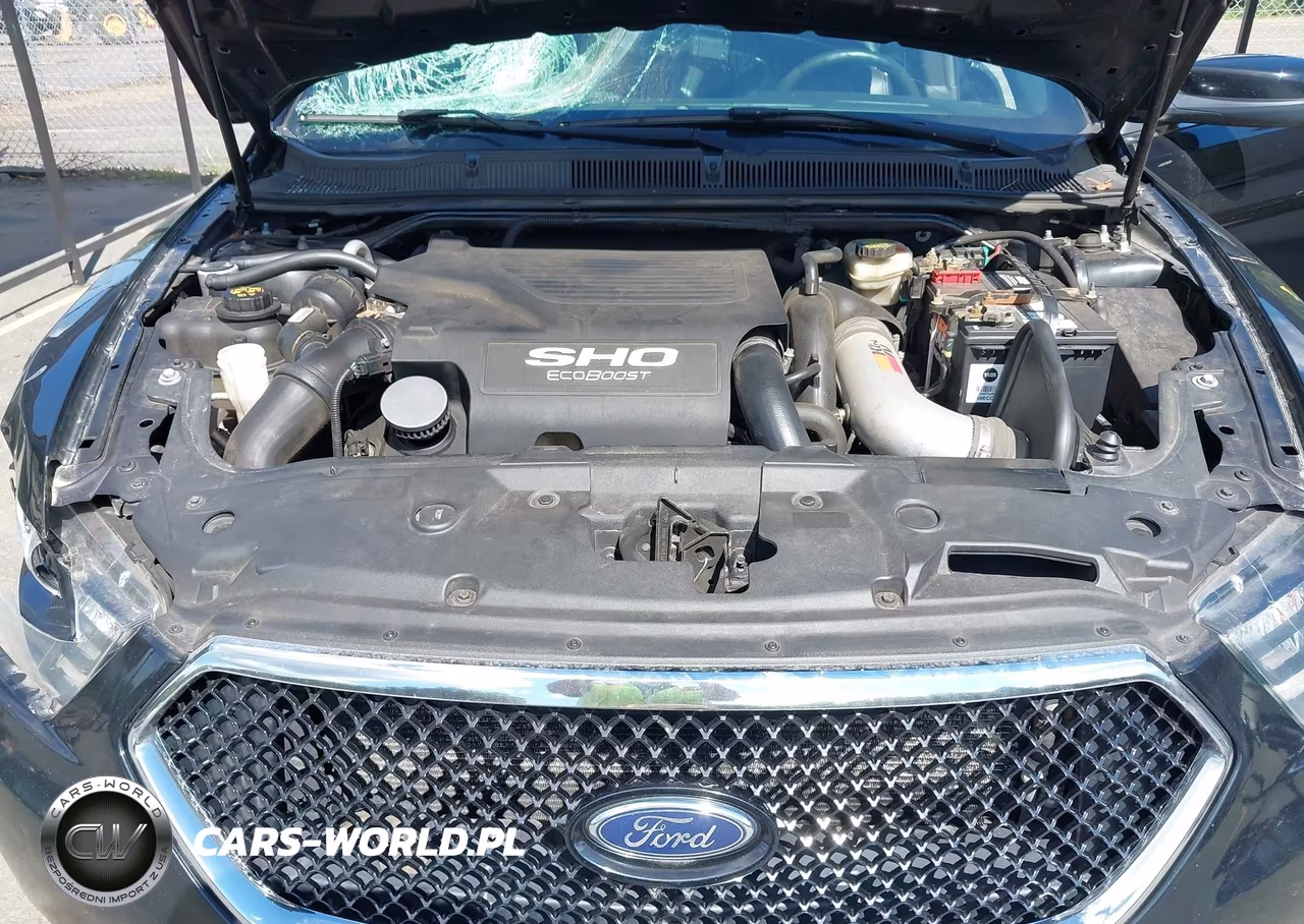 2016 Ford Taurus Sho VIN:1FAHP2KT0GG137917 - 10