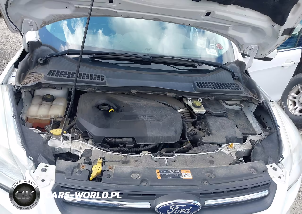 2015 Ford Escape Se VIN:1FMCU9GX1FUA82469 - 10