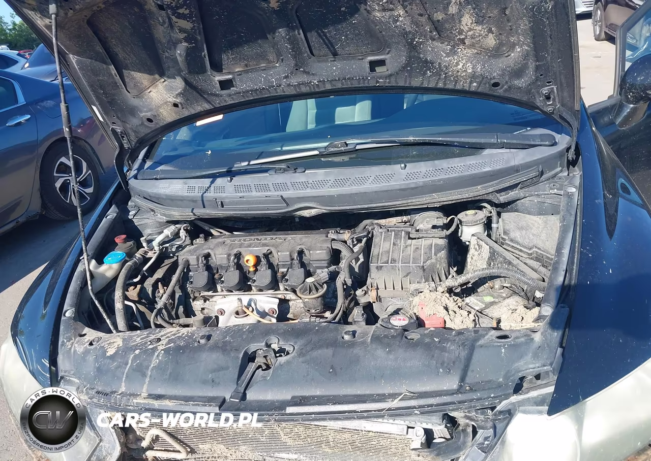 2009 Honda Civic Lx VIN:19XFA16599E005203 - 10