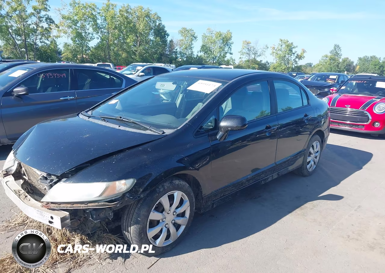 2009 Honda Civic Lx VIN:19XFA16599E005203 - 2