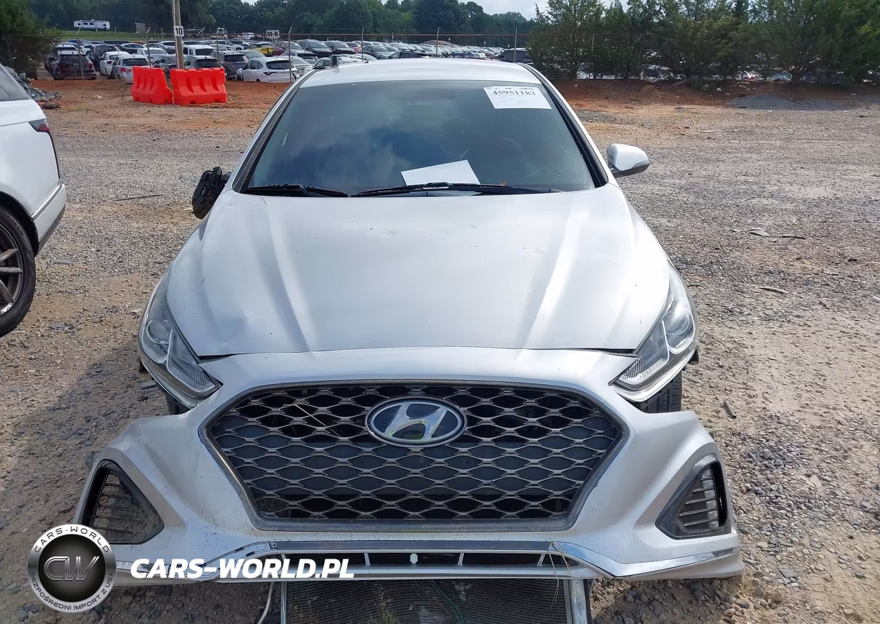 2019 Hyundai Sonata Limited VIN:5NPE34AF4KH771574 - 12
