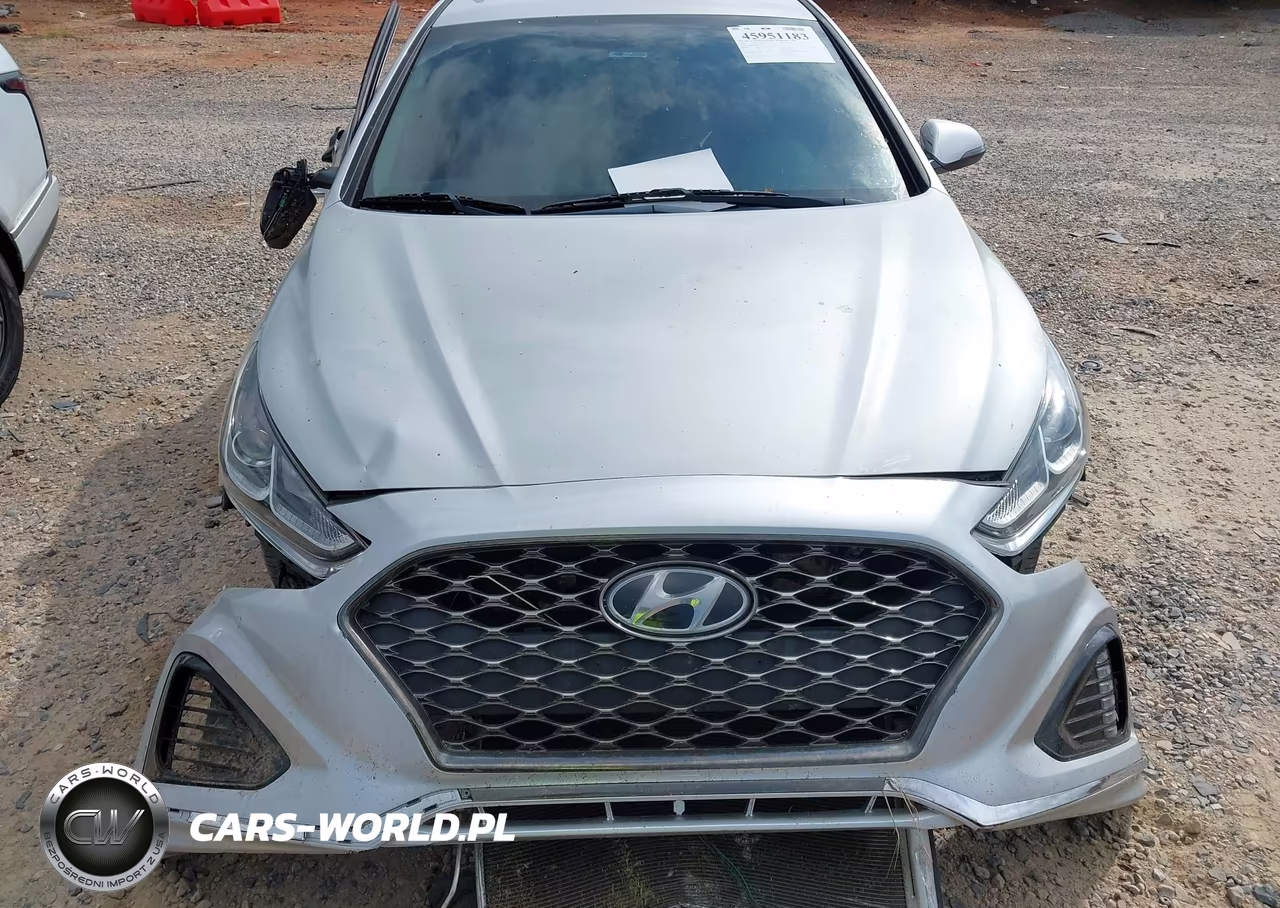 2019 Hyundai Sonata Limited VIN:5NPE34AF4KH771574 - 6