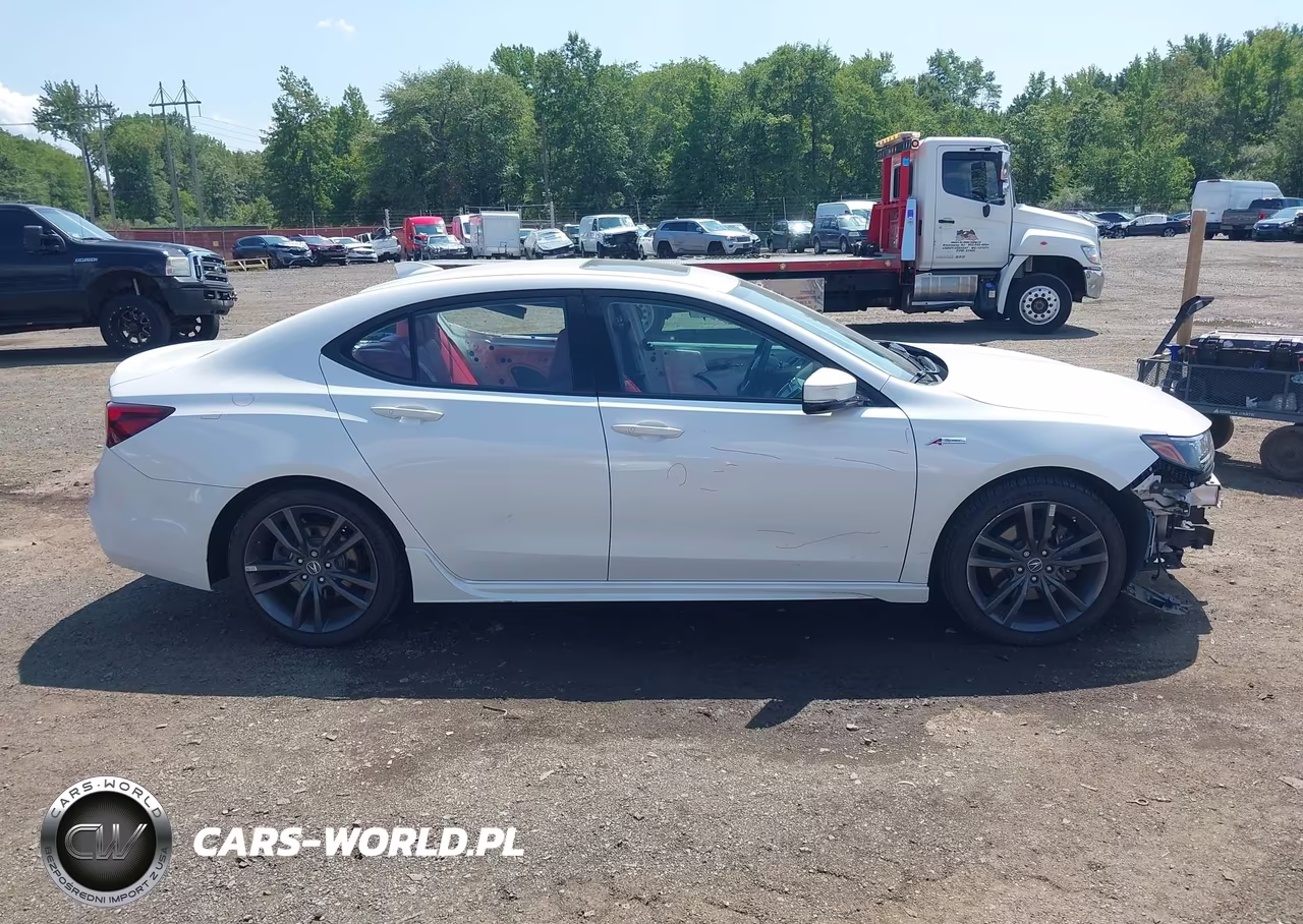 2020 Acura Tlx A-Spec-A-Spec W-Red Leather VIN:19UUB1F66LA008505 - 14