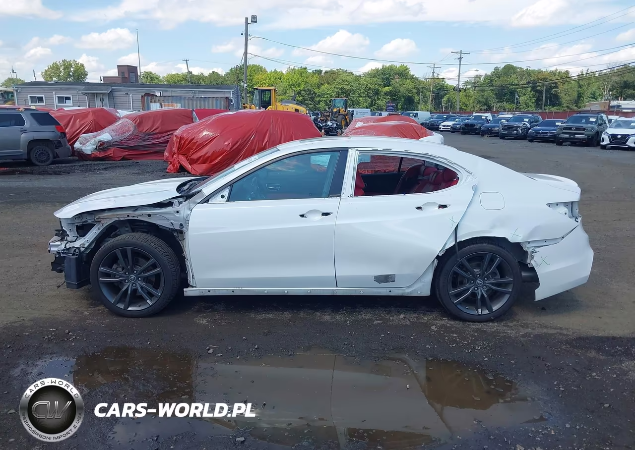 2020 Acura Tlx A-Spec-A-Spec W-Red Leather VIN:19UUB1F66LA008505 - 15