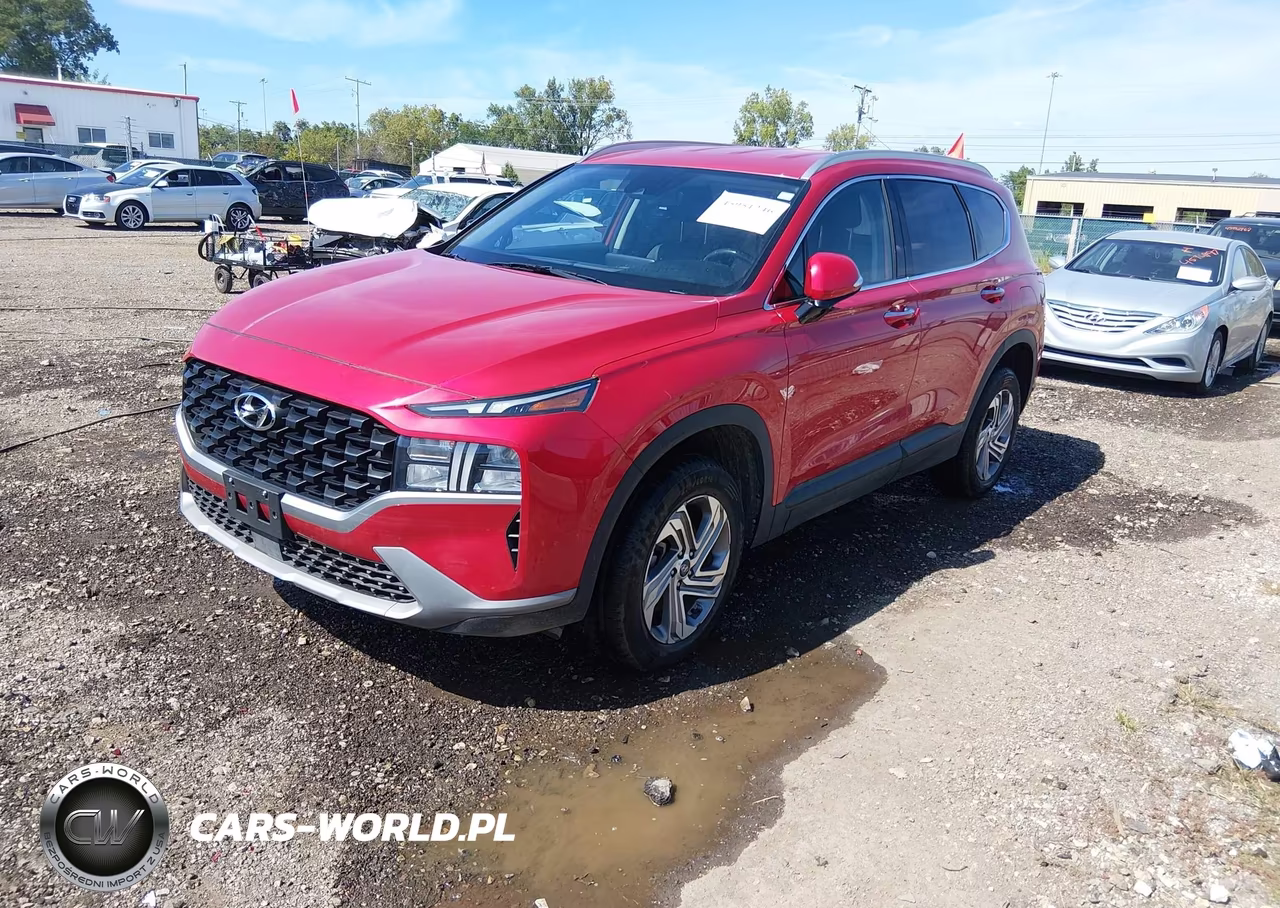 2023 Hyundai Santa Fe Sel VIN:5NMS2DAJ6PH539251 - 2