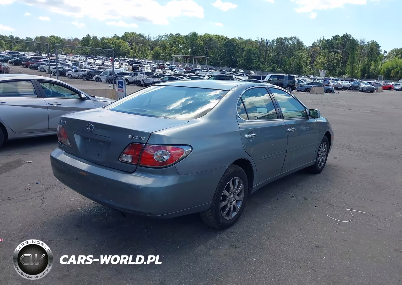 2003 Lexus Es 300 VIN:JTHBF30G130090722 - 4