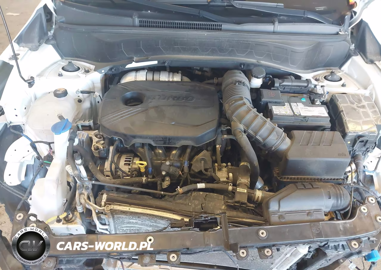 2023 Kia Seltos Sx Turbo VIN:KNDETCA2XP7356987 - 10