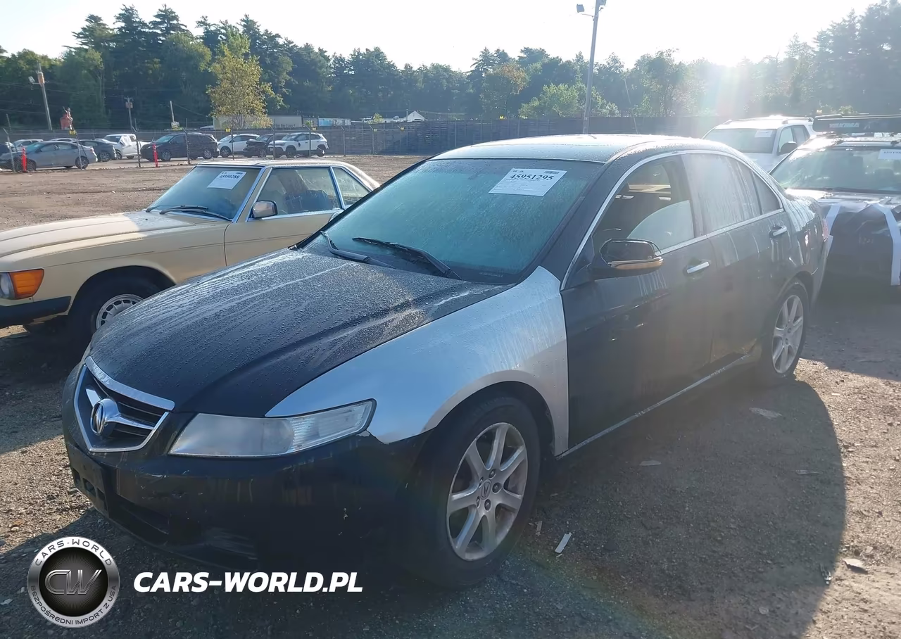 2005 Acura Tsx VIN:JH4CL96885C021477 - 2