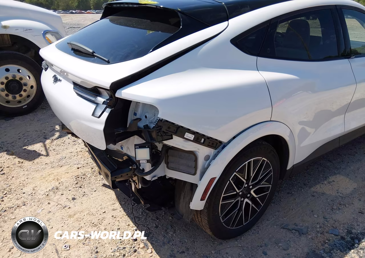 2025 Ford Mustang Mach-E Premium VIN:3FMTK3SU1SMA45856 - 21