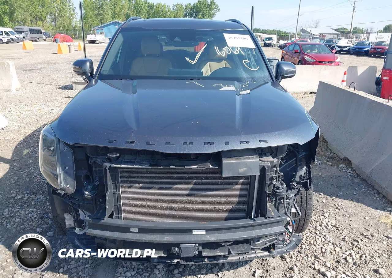 2022 Kia Telluride Sx VIN:5XYP5DHC9NG195667 - 13