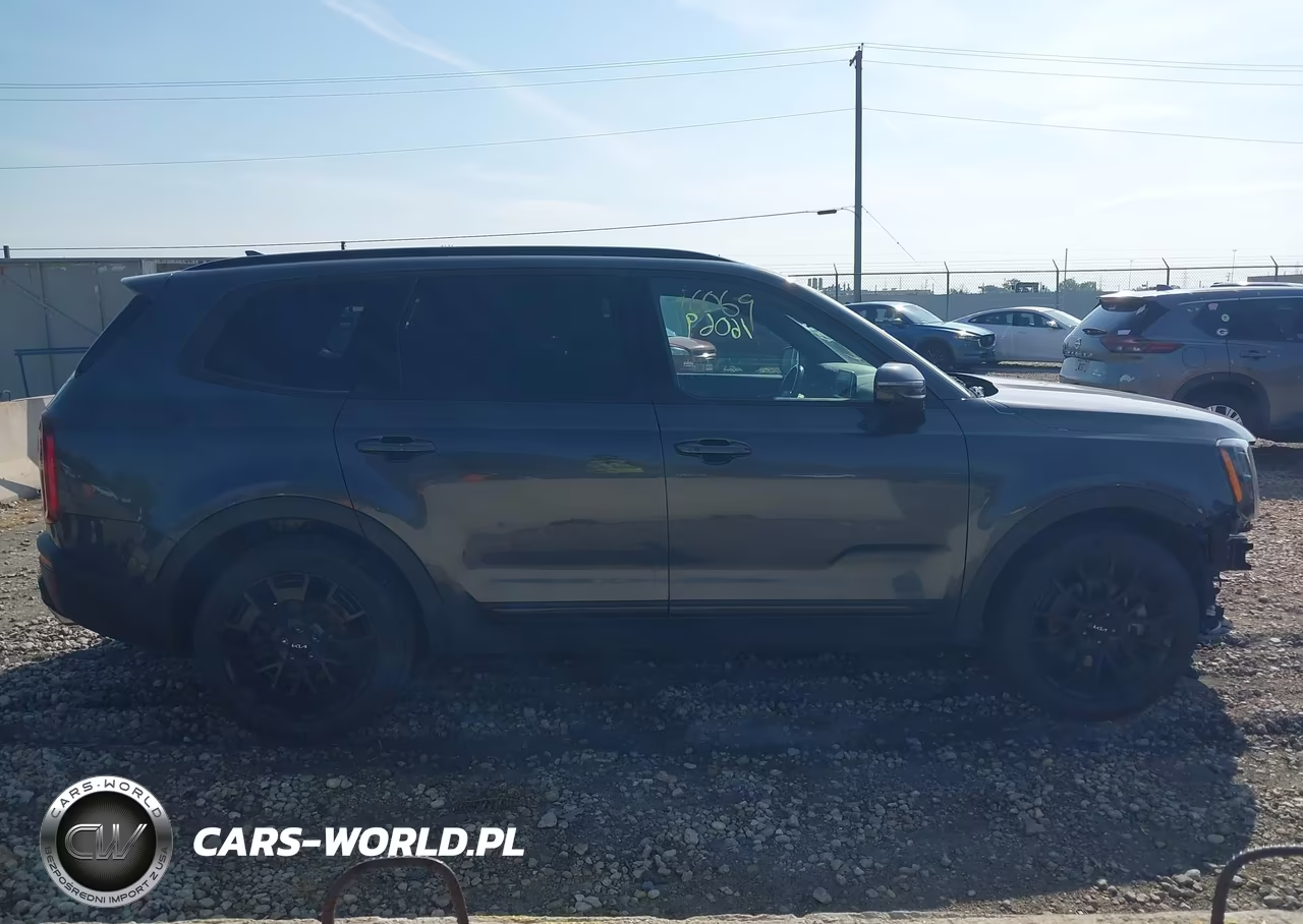 2022 Kia Telluride Sx VIN:5XYP5DHC9NG195667 - 14
