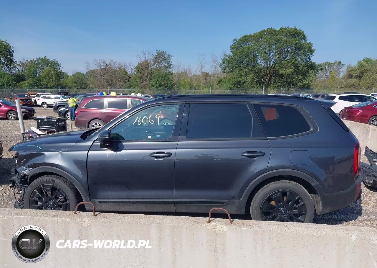 2022 Kia Telluride Sx VIN:5XYP5DHC9NG195667 - 15