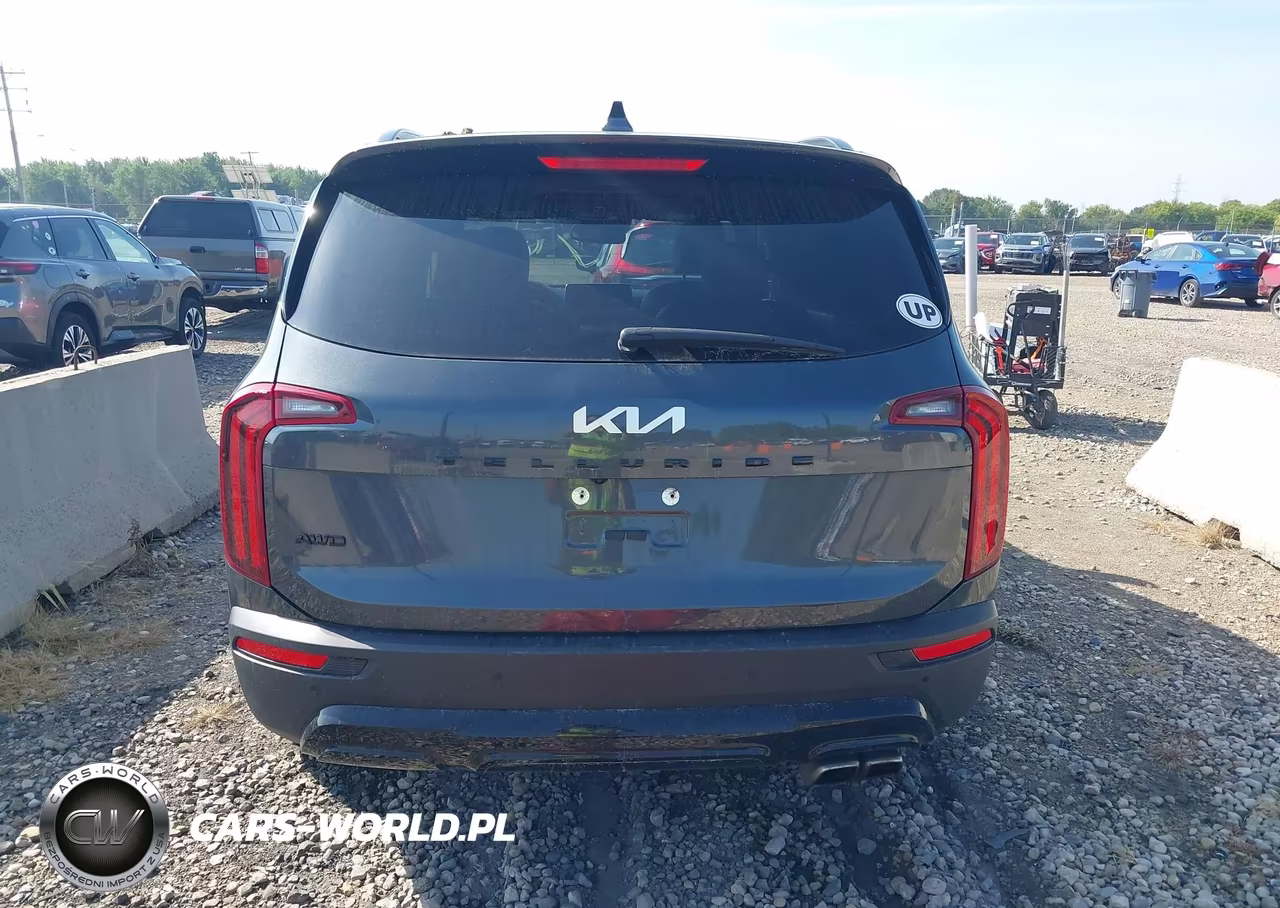 2022 Kia Telluride Sx VIN:5XYP5DHC9NG195667 - 17