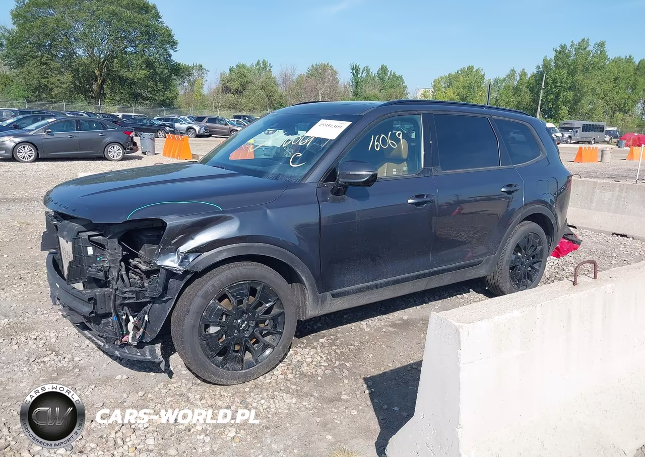 2022 Kia Telluride Sx VIN:5XYP5DHC9NG195667 - 2