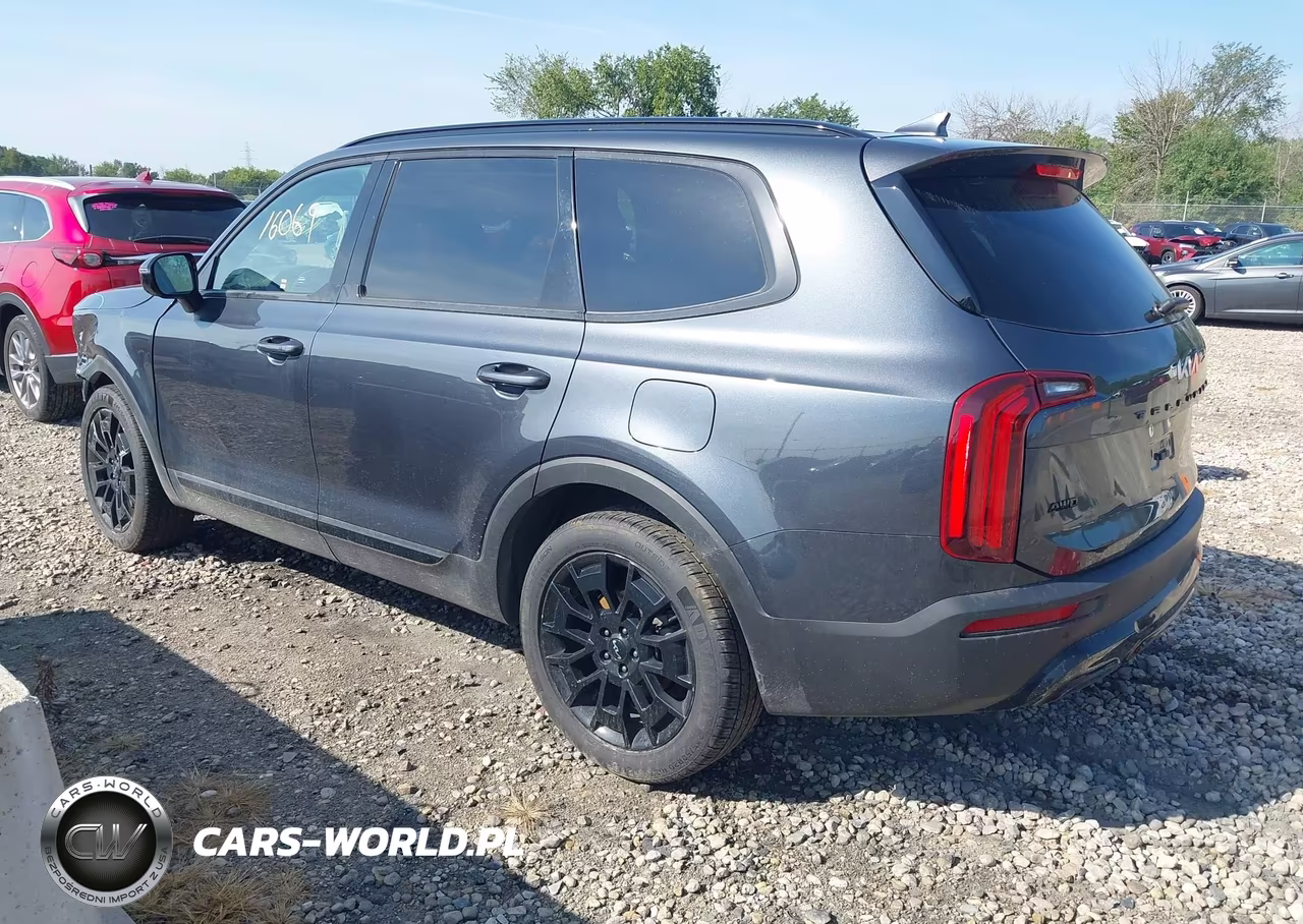 2022 Kia Telluride Sx VIN:5XYP5DHC9NG195667 - 3