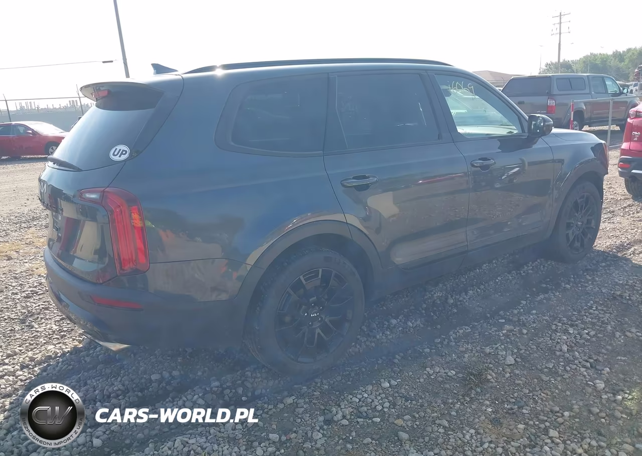 2022 Kia Telluride Sx VIN:5XYP5DHC9NG195667 - 4