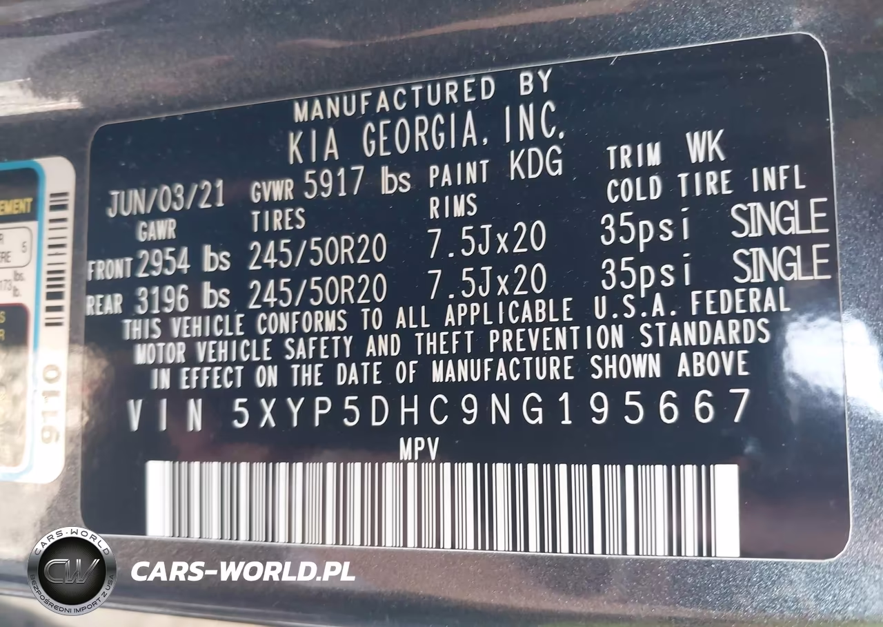 2022 Kia Telluride Sx VIN:5XYP5DHC9NG195667 - 9